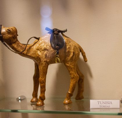 CAMEL (TUNISIA)