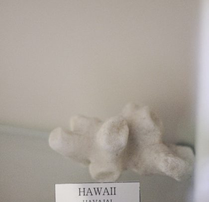 CORAL (HAWAII)